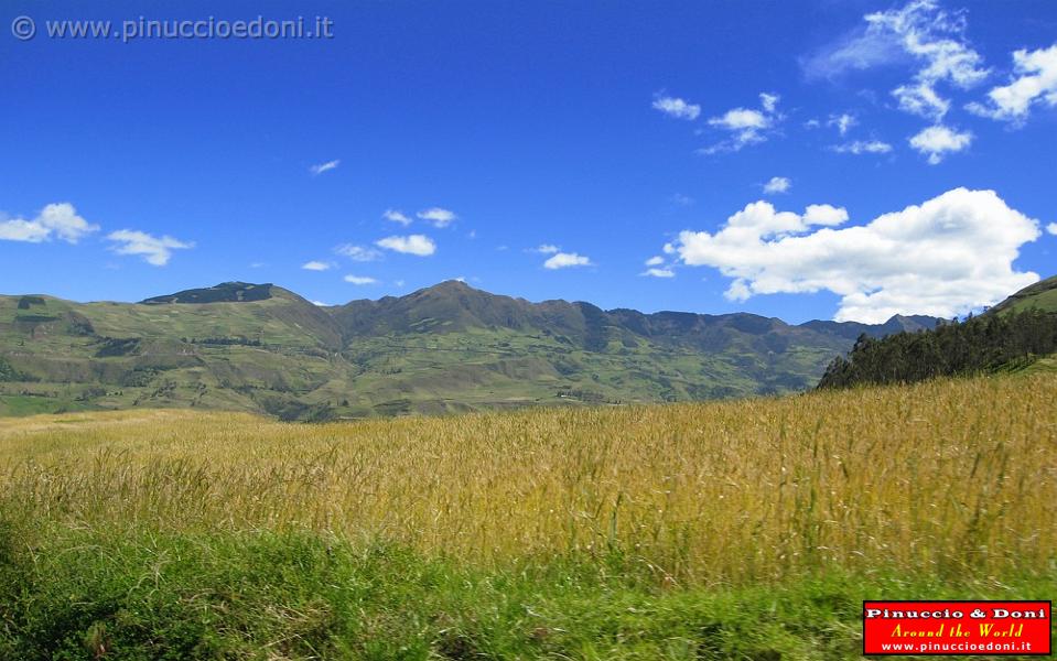 ECUADOR - Sulla strada per Ingapirca - 2.jpg